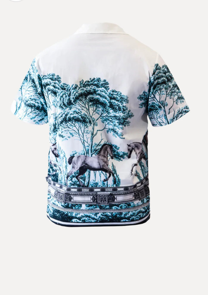 LUIS BISANTI CAMISA DE CABALLOS AZULES CABALLERO